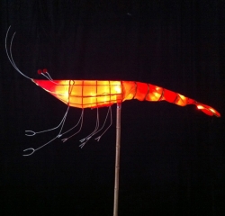 黄山虾灯