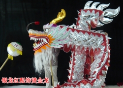 白色烫金布龙