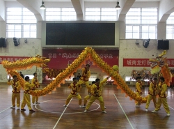 介休黄色烫金龙