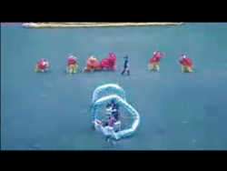 香格里拉师大第48届运动会舞龙舞狮表演视频