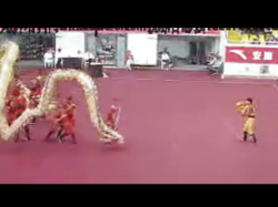 佛山曾教练指导的舞龙队在全国农运会精彩舞龙视频