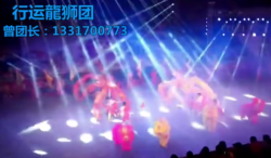 江西舞龙舞狮表演 。