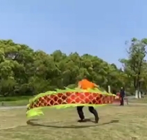 舞龙舞狮道具、舞龙舞狮培训、舞龙舞狮表演