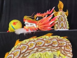 网龙（新款竞技龙）