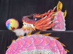 网龙(新款竞技龙）