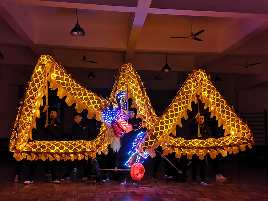 灯光龙-3.jpg